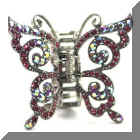 DSC_0117web.jpg (46837 bytes)