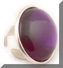 DSC_0156web.jpg (101310 bytes)