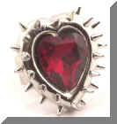 DSC_0159web.jpg (189480 bytes)