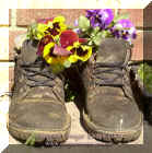 DSC_0070sm copy.jpg (119206 bytes)